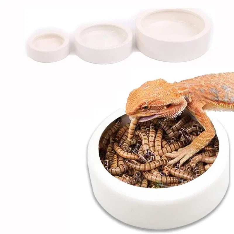 Pet Water Dispenser for Cats and Dogs  Automatic Water