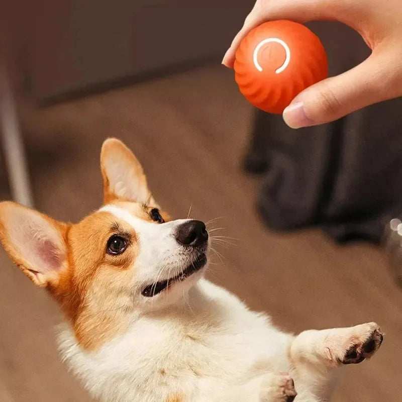 Dog Toy Ball Automatic Moving Bouncing Rolling Ball USB Smart