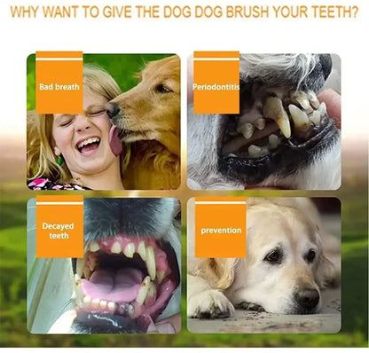3/1pcs pet finger toothbrush Pet